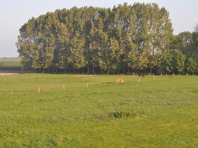 Villa Caro Hus - Carolinensiel Esterno foto